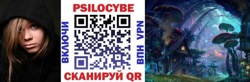 закладка  Чишмы  Псилоцибиновые грибы Psilocybine cubensis 