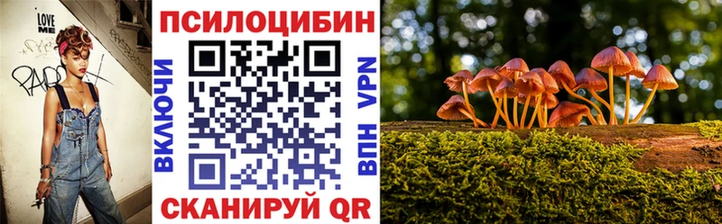 Галлюциногенные грибы GOLDEN TEACHER Чишмы